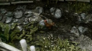 Skyrim: The Chicken