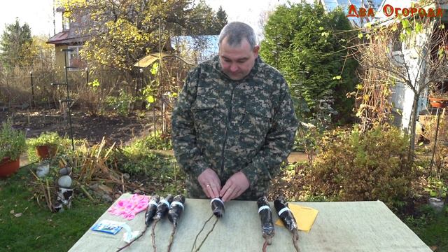 Обзор саженцев на посадку смотреть онлайн