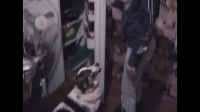 Где моя сосиска by Катя смотреть онлайн