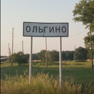 Село Ольгино