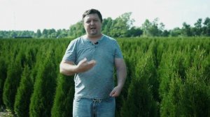 Монопитомник на примере туй. Производство, продажи, маркетинг..mp4