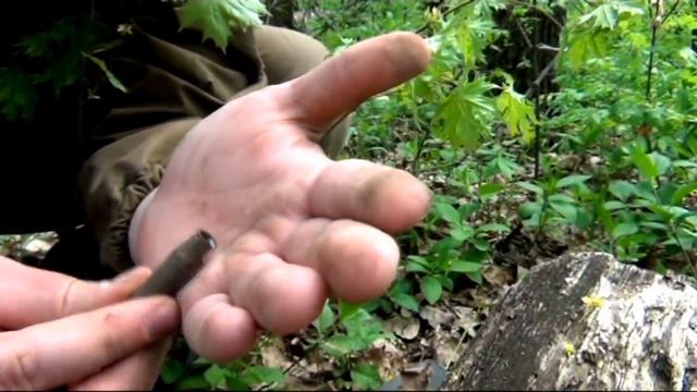 ВОЕННАЯ АРХЕОЛОГИЯ. Немецкий опорный пункт.