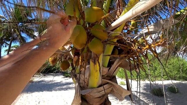 Итоги поиска на металлоискатель. Открытие сезона