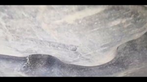 Хонда Стрим гниет ли правый руль? Осмотр на подъемнике.