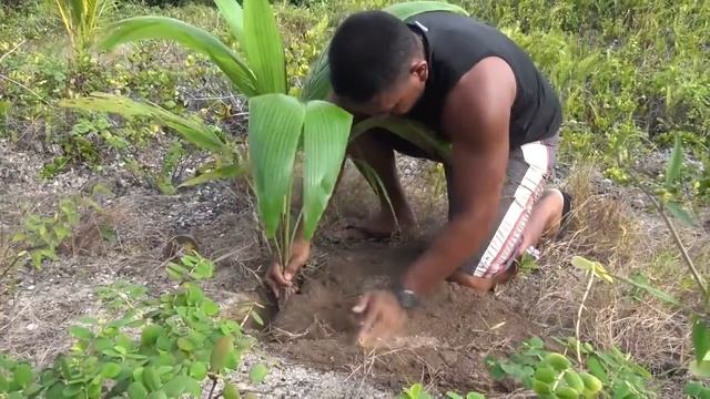 Makatea 11' смотреть онлайн