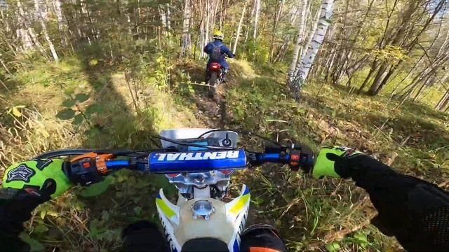 ⛰ ГОРКИ "HILL CLIMB" и ГРИБОЧКИ ОТ БАБУЛИ | ПОКАТУШКИ НА ЭНДУРО В ТОМСКЕ | AVANTIS FX-250 смотреть онлайн