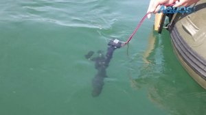 AQUOS Haswing 12v 20 lbs Bow Mount Electric Trolling Motor Water-proof Test