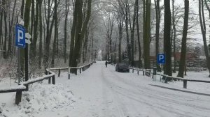 Play with snow in the Zoo