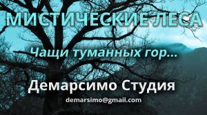 МИСТИЧЕСКИЕ ЛЕСА. Чащи туманных гор. Демарсимо студия