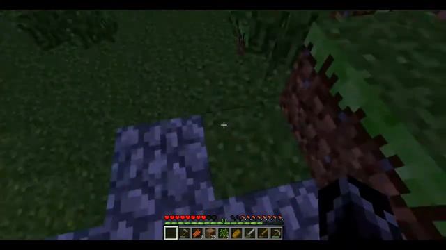 LP по Minecraft 2  Много перермотки