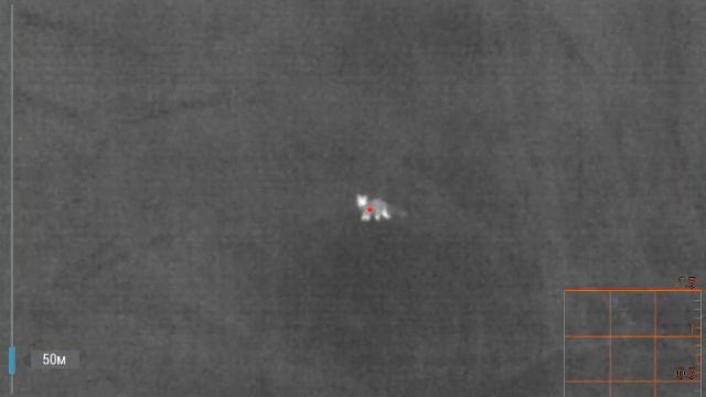 охота на лис смотреть онлайн