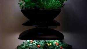 Aerogarden гидропонная домашняя установка. Рост растении в 5 раз быстрее
