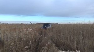 Якорь опять выручил. Ланд крузер 76 в болоте.