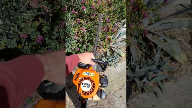 Лучший кусторез бензиновый Stihl HS 45