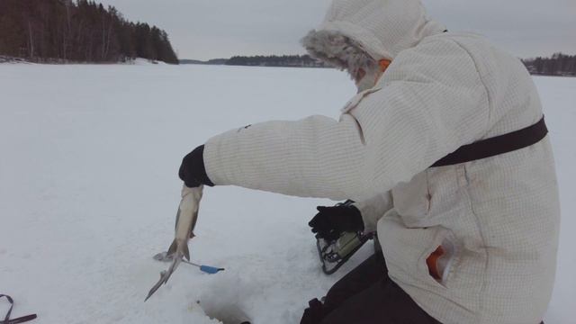 Ловля леща на мормышку.Макаронный закорм удерживает леща даже в плохую погоду.
