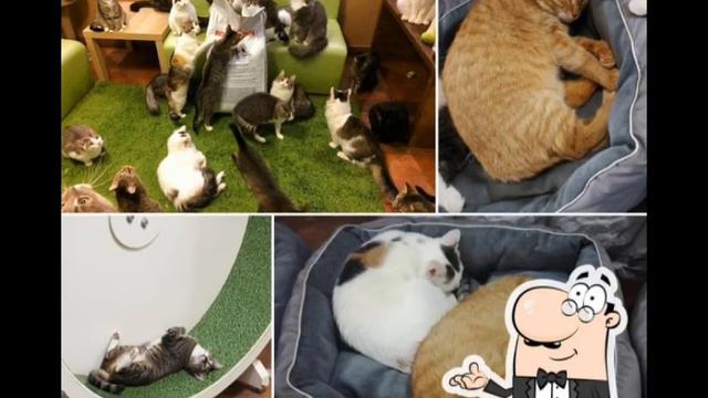 топ 10 мест в Нижнем Новгороде куда можно поехать смотреть онлайн