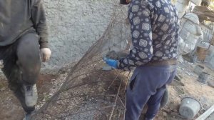 какая нужна сетка для скульптур из арт бетона, оформление забора и цветника на даче.