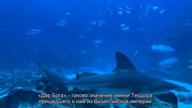 Значение имени Теодора. Толкование, судьба, характер