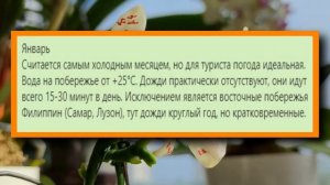 РАЗВЕНЧИВАЕМ МИФЫ ОБ ОРХИДЕЯХ: СУХОЙ ПЕРИОД, ВОДА В ТОЧКЕ РОСТА. КАНАЛУ ТРИ МЕСЯЦА! ПОДВОДИМ ИТОГИ!