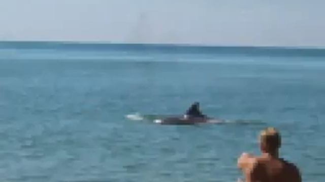море Черное, песчаные пляжи Тамани...крутое лето 2014 отдых в Волне на Черном море