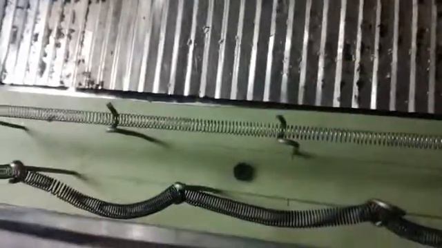 Термокамера для пчёл 1