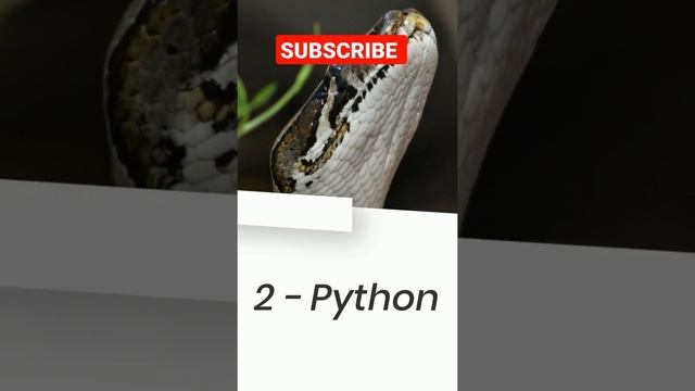 Top 5 programing language in 2022 ! #python #javascript #C++ #java