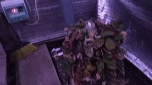 Заглубленная теплица . Устойчивость к морозу.