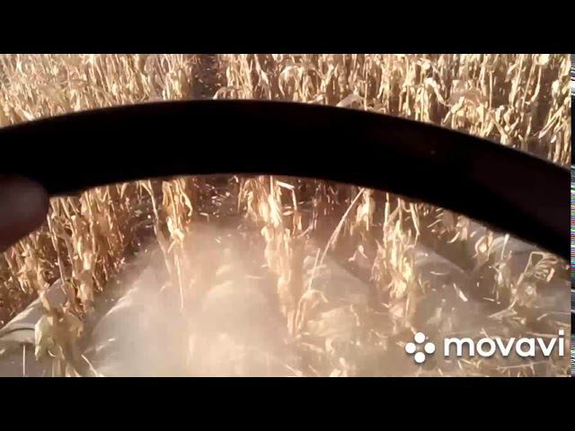 Палессе GS-1218 40 га за 10 часов много это или мало? Уборка кукурузы .