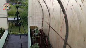 Моя система подвязки огурцов в теплице. DIY & DACHA. Ep 97.