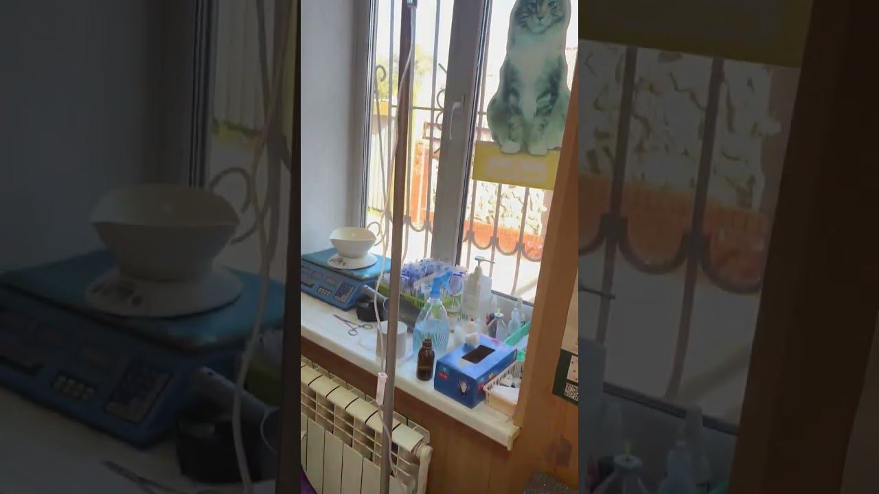 Так выглядет ежедневная борьба волонтера