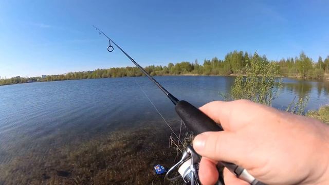 Из серии -" Городские водоёмы." смотреть онлайн
