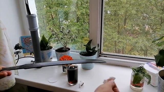 Танто. (из 9хф) смотреть онлайн