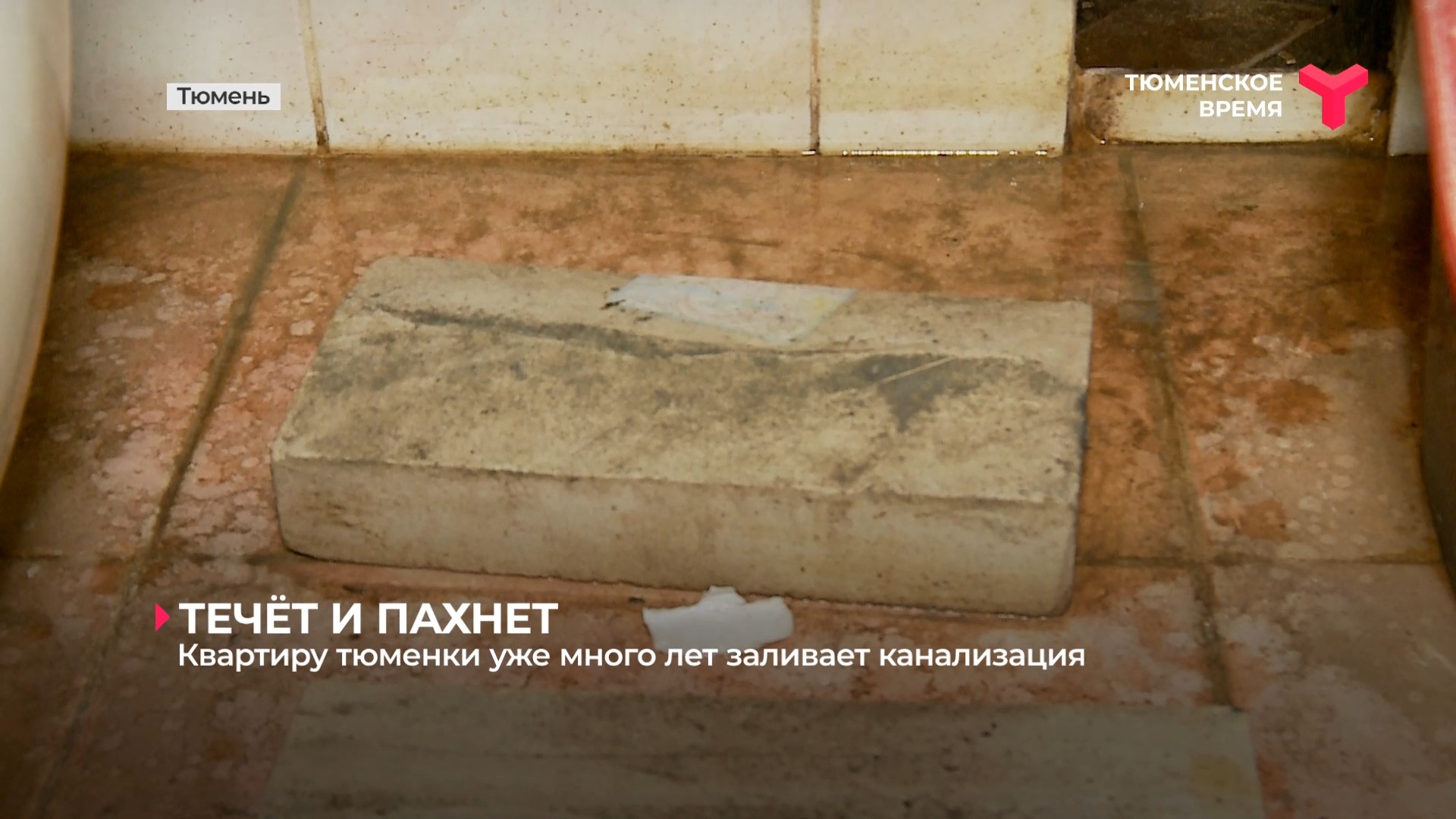 Квартиру тюменки уже много лет заливает канализация