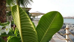 АКВАПАРК LAGUNA // ОБЗОР НОВОГО АКВАПАРКА В ДУБАЕ // LAGUNA WATERPARK