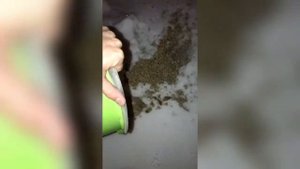 Как почистить электрический водонагреватель  aguaverso ( бойлер) и замена магниевого анода.