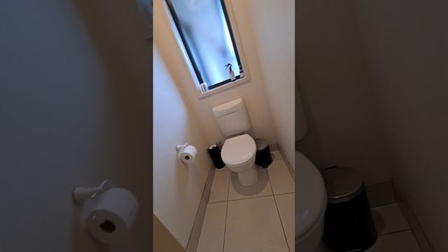 Дом за 15 млн долларов. Оброз дома на продажу. Новая Зеландія.  New Zealand.