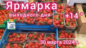 Краснодар - Ярмарка выходного дня на ул. Одесской - цены на фрукты и овощи - 30 марта 2024 г.