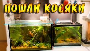 Беда была близко, но ее удалось миновать!