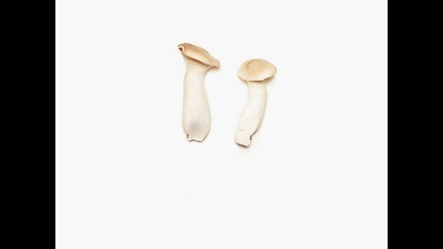 Вкусная мода от Gretchen Roehrs  |  Ярмарка Мастеров смотреть онлайн