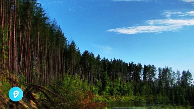 Достопримечательности Мари-Турека. Попутчики из Йошкар Олы в Мари-Турек.