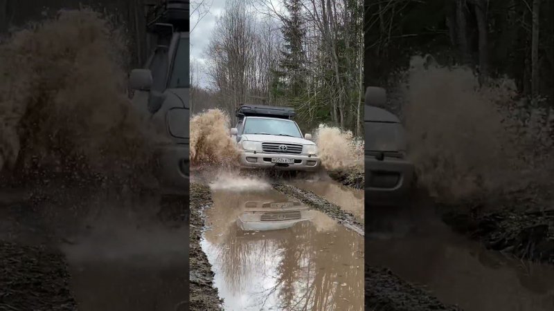 Дорога в заброшенный лагерь на юге Архангельской области #offroad #mud