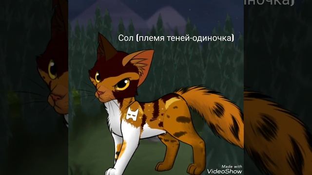 Тест "Угадай кота-воителя" / Как хорошо ты знаешь КВ? смотреть онлайн