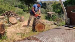 Stihl ms 362 c m vs Husky 562xp