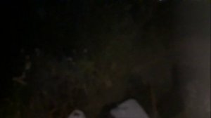 Сплав по реке Вологда Молочное Кувшиново