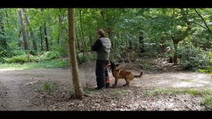 KNPV training day with Tino Kleine Schaars and Gerrit Hendriks