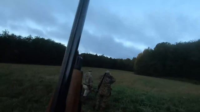 Охота на медведя в Архангельской области