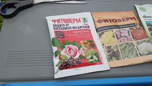 Как побороть паутинного клеща 26