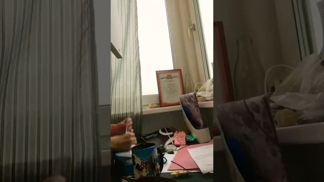 Как я убираю стол! смотреть онлайн