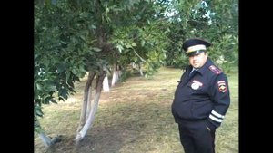 БЕСПРЕДЕЛ ДПС!!! Хамство ДПС, Свои Законы