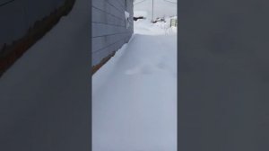 Дом мечты по проекту z273.